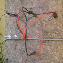 SF-L, Improved Granier sensor with four needles and a much higher accuracy